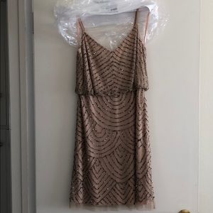Adrianna Papell Beaded Blush Cocktail Dress Size 8